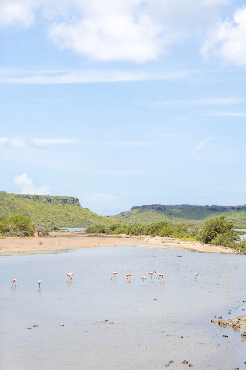 Local-zoutvlakken-curacao