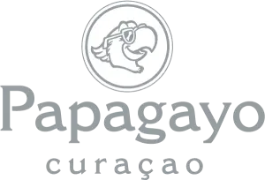 logoPPGYcuracao_RGBlandscape-640w-300x204.png