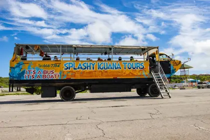 Splashy-Iguana-Tours-3