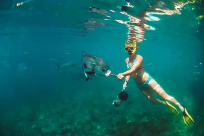 Animal-Encounter-Snorkeling-1-1