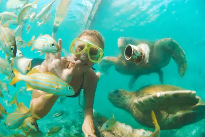 Animal-Encounter-Snorkeling-7-1