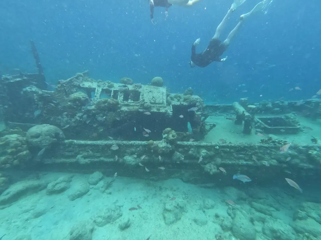 Eco-Cruise-Curacao-Snorkel-Vid-and-Photos-6-scaled