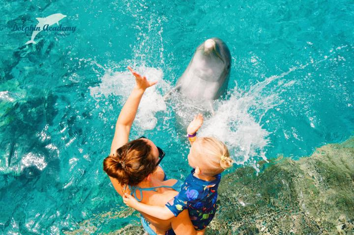 Dolfijn Ontmoeting | Dolphin Academy