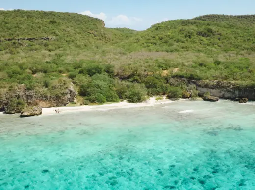 SanNicolas_private_beach_picnic_2-scaled