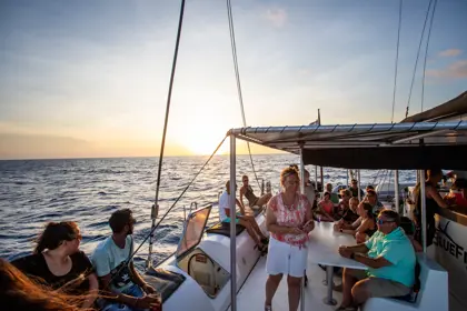 sunset catamaran tour blue finn twee