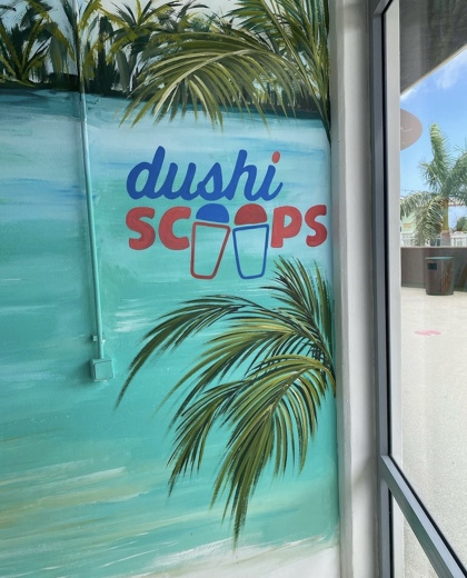 Dushi Scoops