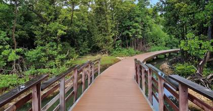De-boardwalk-in-het-Mangrovepark