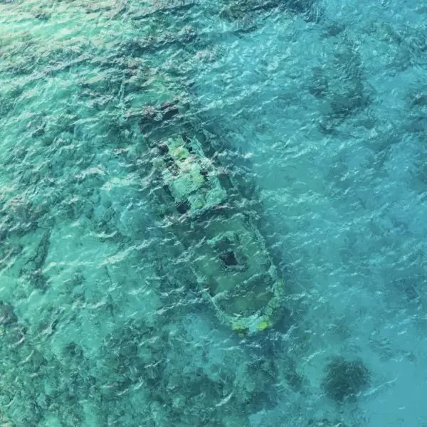 Tugboat_Photo-courtesy-of-Dive-Curacao-taken-by-NatrurePicsFilms-682x682